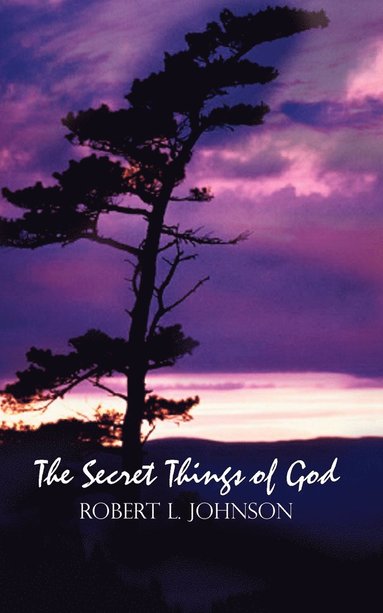 Robert L Johnson - Secret Things of God, Häftad