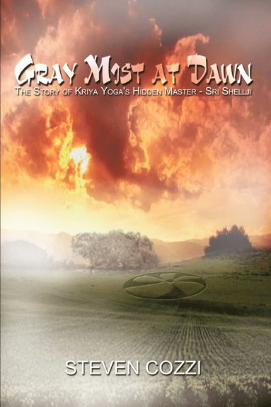 bokomslag Gray Mist at Dawn