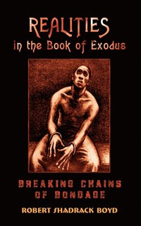 bokomslag Realities in the Book of Exodus