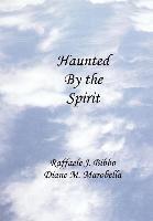 bokomslag Haunted by the Spirit