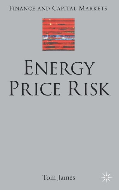 bokomslag Energy Price Risk