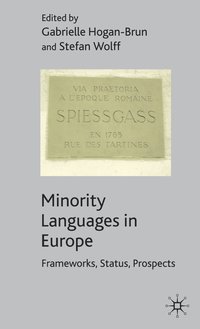 bokomslag Minority Languages in Europe