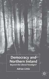 bokomslag Democracy and Northern Ireland