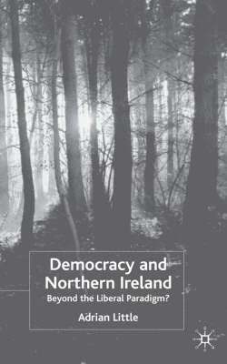 bokomslag Democracy and Northern Ireland