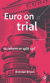 bokomslag Euro on Trial