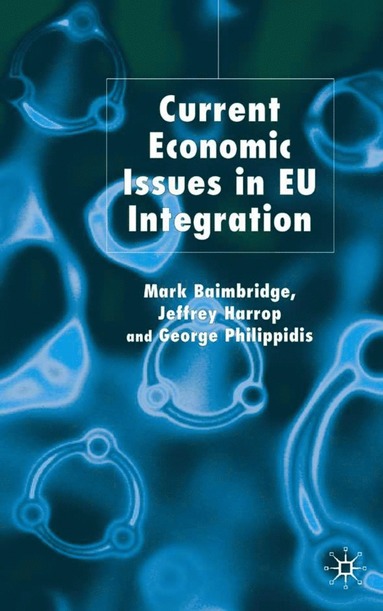 bokomslag Current Economic Issues in EU Integration