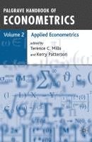 bokomslag Palgrave Handbook of Econometrics