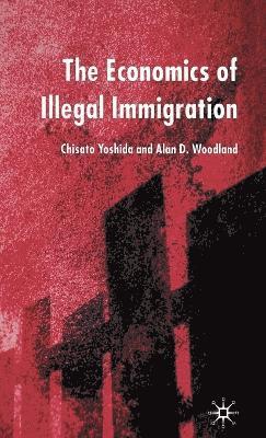 bokomslag The Economics of Illegal Immigration