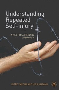 bokomslag Understanding Repeated Self-Injury