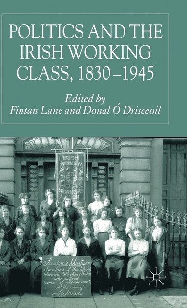 bokomslag Politics and the Irish Working Class, 1830-1945