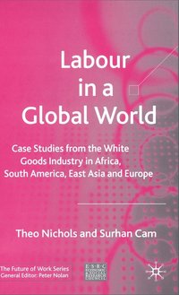 bokomslag Labour in a Global World