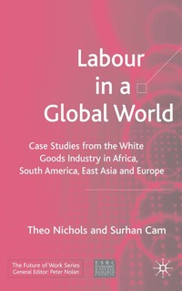 bokomslag Labour in a Global World