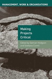 bokomslag Making Projects Critical