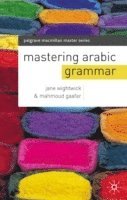 bokomslag Mastering Arabic Grammar