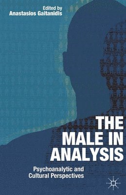 bokomslag The Male In Analysis