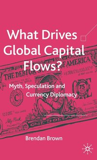 bokomslag What Drives Global Capital Flows?
