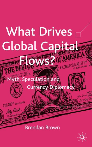 bokomslag What Drives Global Capital Flows?