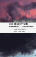 bokomslag Key Concepts in Romantic Literature