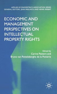 bokomslag Economic and Management Perspectives on Intellectual Property Rights