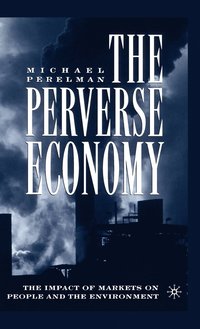 bokomslag Perverse Economy