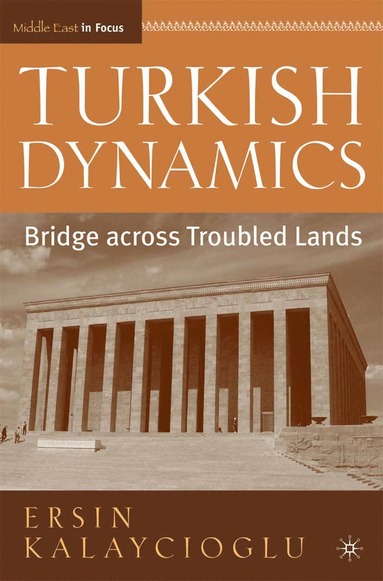 bokomslag Turkish Dynamics