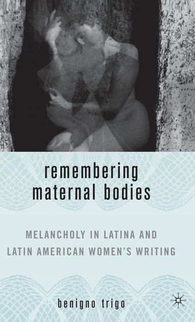 bokomslag Remembering Maternal Bodies