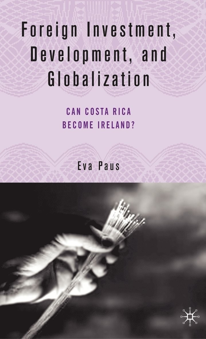 E. Paus, Eva Paus - Foreign Investment, Development, and Globalization, Inbunden