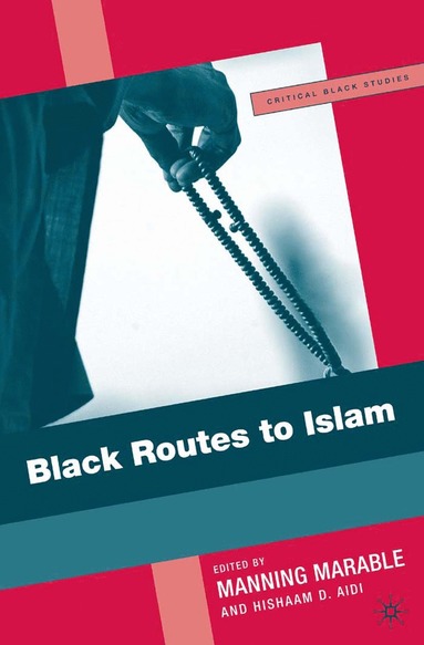 bokomslag Black Routes to Islam