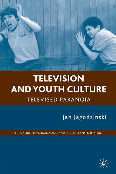 bokomslag Television and Youth Culture