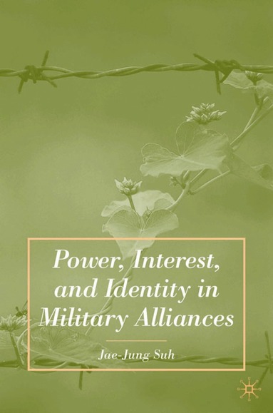bokomslag Power, Interest, and Identity in Military Alliances