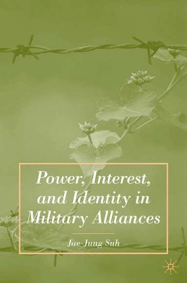 bokomslag Power, Interest, and Identity in Military Alliances