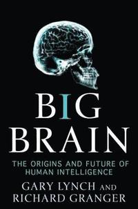 bokomslag Big Brain
