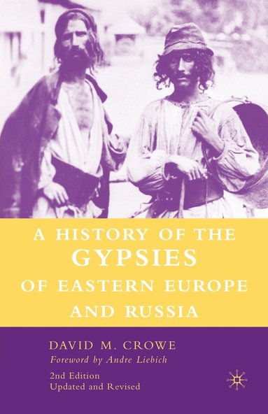 bokomslag History of The Gypsies of Eastern Europe and Russia