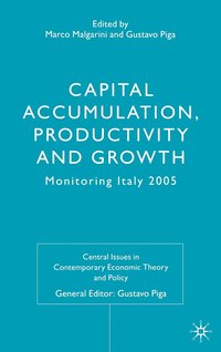bokomslag Capital Accumulation, Productivity and Growth