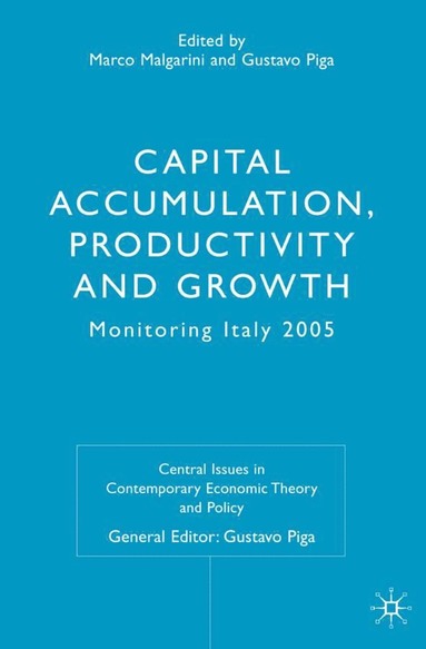 bokomslag Capital Accumulation, Productivity and Growth