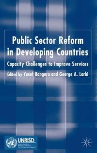 bokomslag Public Sector Reform in Developing Countries