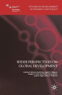 bokomslag Wider Perspectives on Global Development