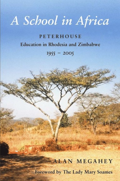 bokomslag School in Africa