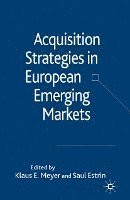 bokomslag Acquisition Strategies in European Emerging Markets