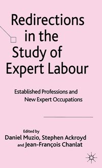 bokomslag Redirections in the Study of Expert Labour