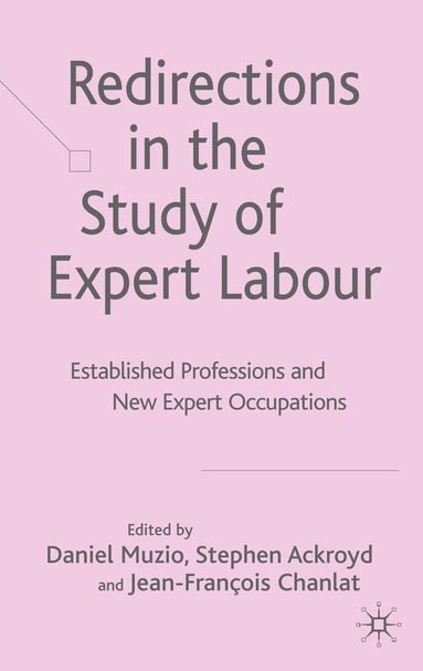 D. Muzio, S. Ackroyd, J. Chanlat - Redirections in the Study of Expert Labour, Inbunden