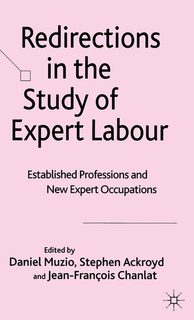 bokomslag Redirections in the Study of Expert Labour