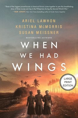 bokomslag When We Had Wings