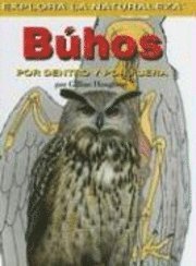 bokomslag Buhos: Por Dentro Y Por Fuera (Owls: Inside and Out)