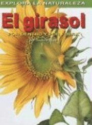 bokomslag El Girasol: Por Dentro Y Por Fuera (Sunflower: Inside and Out) = Sunflower