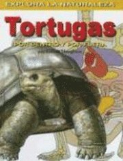bokomslag Tortugas: Por Dentro Y Por Fuera (Turtles: Inside and Out) = Turtles