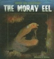 bokomslag The Moray Eel