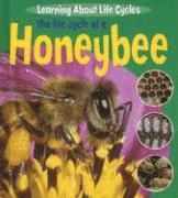 Ruth Thomson - The Life Cycle of a Honeybee, Inbunden