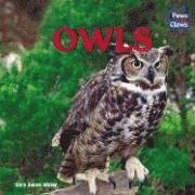 bokomslag Owls