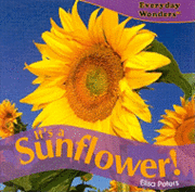 bokomslag It's a Sunflower!